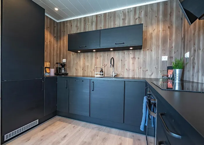 Seafront New In Lofoten Tatil Evi *